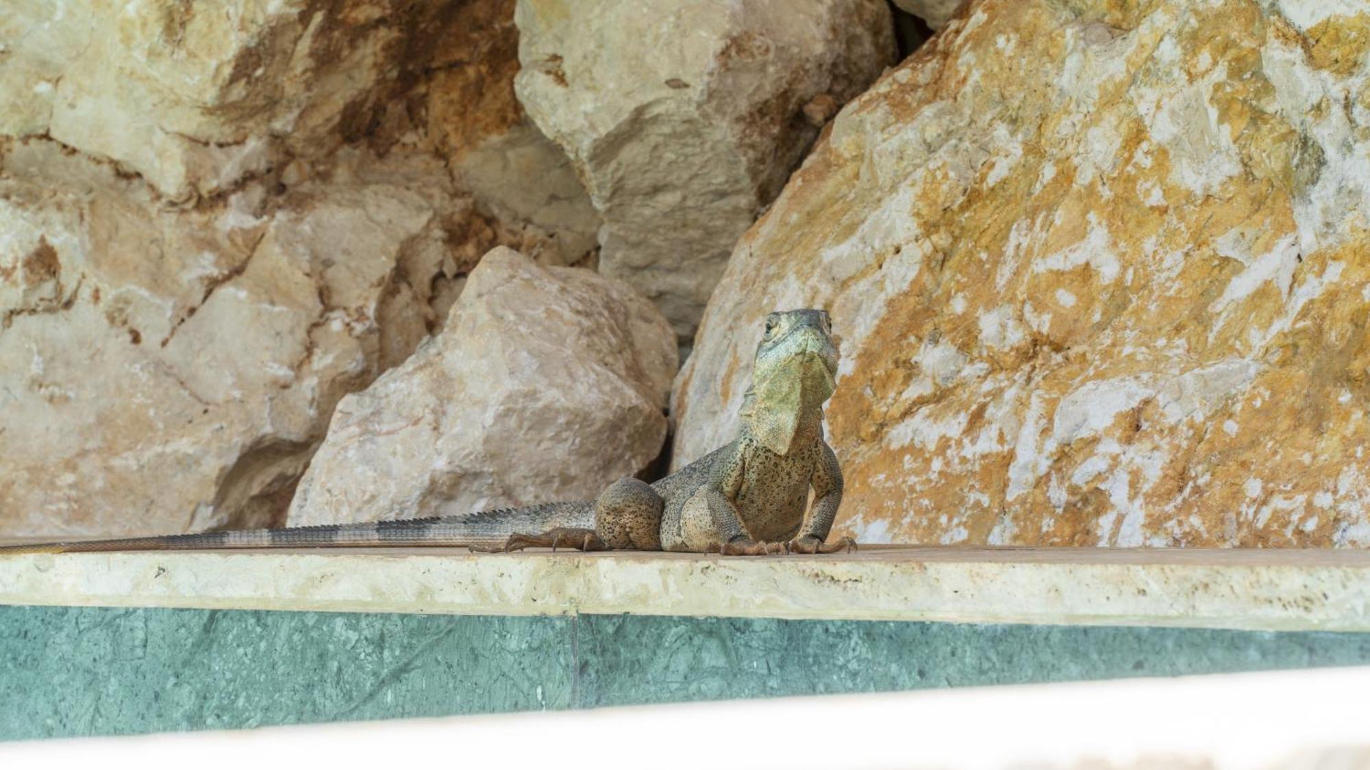 La Quebrada Eco Lodge Hotel Boutique بوتريرو المظهر الخارجي الصورة